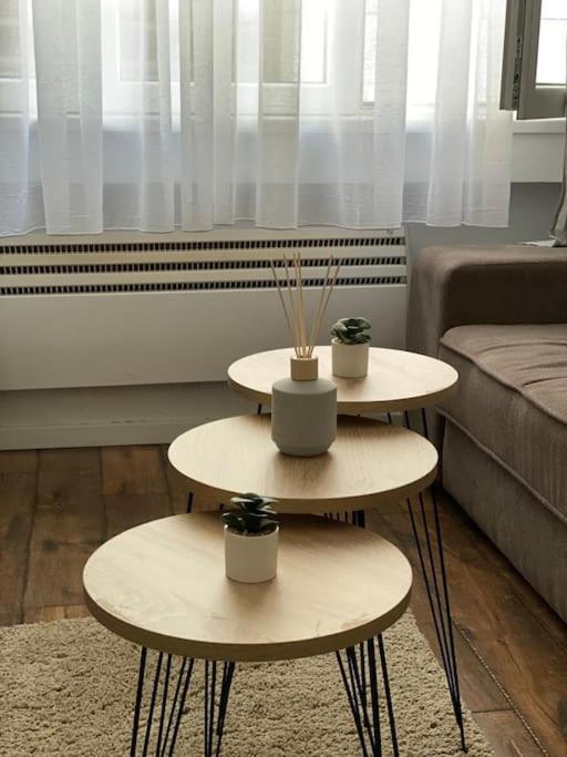 Apartment In Belgrade With Small Parking Space Dış mekan fotoğraf