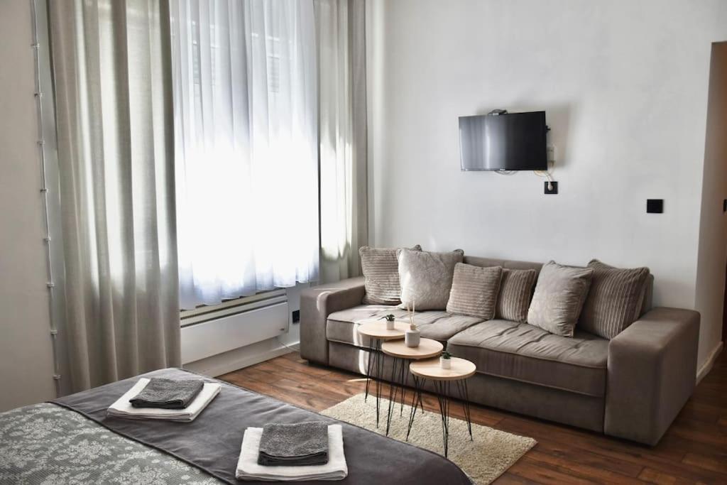 Apartment In Belgrade With Small Parking Space Dış mekan fotoğraf
